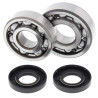 Kit roulements + spi de vilebrequin All Balls 24-1007 Kawasaki KX125