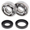 Kit roulements + spi de vilebrequin All Balls 24-1025 Yamaha YZ125