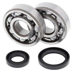 Kit roulements + spi de vilebrequin All Balls 24-1016 Suzuki RM125