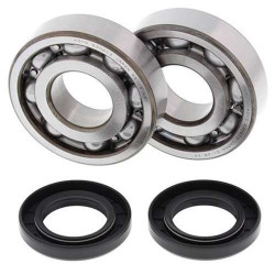 Kit roulements + spi de vilebrequin All Balls 24-1011 Kawasaki KX500