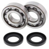 Kit roulements + spi de vilebrequin All Balls 24-1011 Kawasaki KX500
