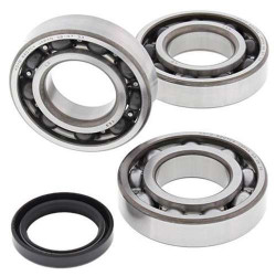 Kit roulements + spi de vilebrequin All Balls 24-1090 Polaris 500 Scrambler