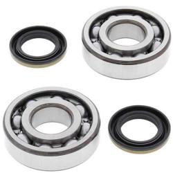 Kit bearings + spi de vilebrequin All Balls 24-1045 Kawasaki KDX220