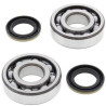 Kit bearings + spi de vilebrequin All Balls 24-1045 Kawasaki KDX220