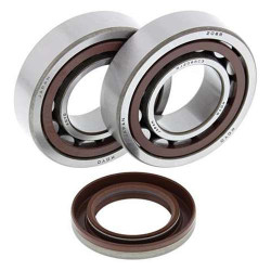 Kit bearings + spi de vilebrequin All Balls 24-1106 KTM SX-F450