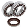Kit roulements + spi de vilebrequin All Balls 24-1106 KTM SX-F450