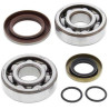 Kit roulements + spi de vilebrequin All Balls 24-1103 KTM SX65