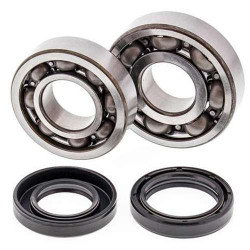 Kit bearings + spi de vilebrequin All Balls 24-1043 Yamaha YFS200 Blaster