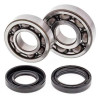 Kit roulements + spi de vilebrequin All Balls 24-1043 Yamaha YFS200 Blaster
