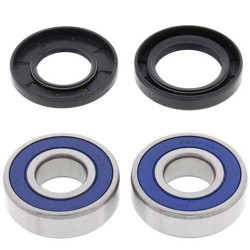 Rear wheel bearing kit + spis All Balls 25-1647 BMW F800GS