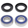 Kit roulements de roue arrière + spis All Balls 25-1647 BMW F800GS