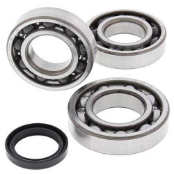 Kit bearings + spi de vilebrequin All Balls 24-1085 Polaros 330 Trail Blazer