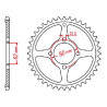 Steel crown JT 49 teeth not 428 type 1843