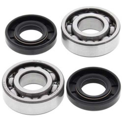 Kit bearings + spi de vilebrequin All Balls 24-1100 Cobra CM50/King 50