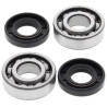 Kit bearings + spi de vilebrequin All Balls 24-1100 Cobra CM50/King 50