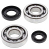 Kit roulements + spi de vilebrequin All Balls 24-1029 Yamaha YZ250