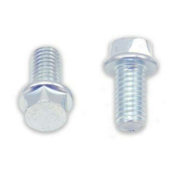Vis à bride (x10) Bolt M6x14 tête hexagonale 8mm 