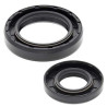Joints spy de vilebrequin All Balls 24-2018 Yamaha YZ/WR250