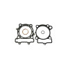 Pochette joints moteur complet Athena P400510160010 RM-Z250 2007-08