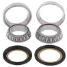 Kit roulements de colonne de direction All Balls 22-1040 KLX110 02-10 DRZ110 03-10