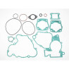 Full engine seals Tecnium 808302 KTM SX65