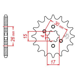 Sprocket JT 14 teeth pitch 420 type 252
