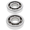 Kit bearings + spi de vilebrequin All Balls 24-1052 Honda XR250R