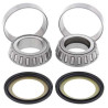 All Balls steering column bearings (22-1005) 25x48x16 / 27x48x14