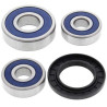 Kit roulements de roue Arrière All Balls 25-1347 DR650 90-96 DR800 91-97