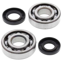 Kit roulements + spi de vilebrequin All Balls 24-1009 Kawasaki KX250