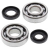 Kit bearings + spi de vilebrequin All Balls 24-1009 Kawasaki KX250