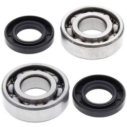 Kit bearings + spi de vilebrequin All Balls 24-1035 Kawasaki KFX80