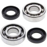 Kit bearings + spi de vilebrequin All Balls 24-1035 Kawasaki KFX80