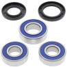 Kit roulements de roue Arrière All Balls 25-1256 DR350S 90-96 DR650SE 96-01