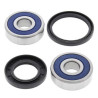 Front wheel bearing kit + All Balls 25-1334 spi seals Yamaha TDM850, XJ900, VMAX 1200 
