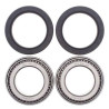 Front/rear wheel bearing kit All Balls 25-1432Can-Am DS650
