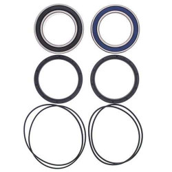 Kit roulements de roue + joint All Balls 25-1616