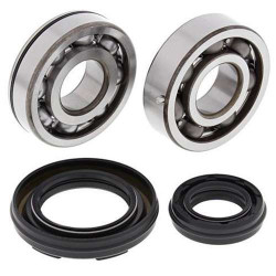 Kit roulements + spi de vilebrequin All Balls 24-1034 Yamaha YFZ350 Banshee