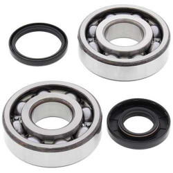 Kit bearings + spi de vilebrequin All Balls 24-1107 Husqvarna WR300