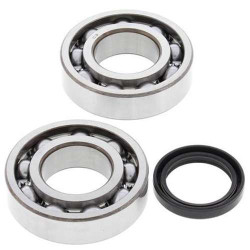 Kit roulements + spi de vilebrequin All Balls 24-1081 Suzuki RM-Z250