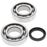 Kit bearings + spi de vilebrequin All Balls 24-1081 Suzuki RM-Z250
