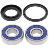 Kit roulements de roue + joints spi All Balls 25-1380 NTV650 REVERE VT750 VT1100 GL1500