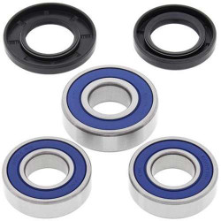 Kit roulements de roue Arrière All Balls 25-1066 SUZUKI DR350 90-99 DR350SE 97-99