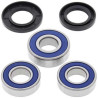 Wheel bearing kit Rear All Balls 25-1066 SUZUKI DR350 90-99 DR350SE 97-99