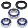 Kit roulements de roue arrière + joints spi All Balls 25-1285 Kawasaki GPZ1000, 1100, ZZR1100