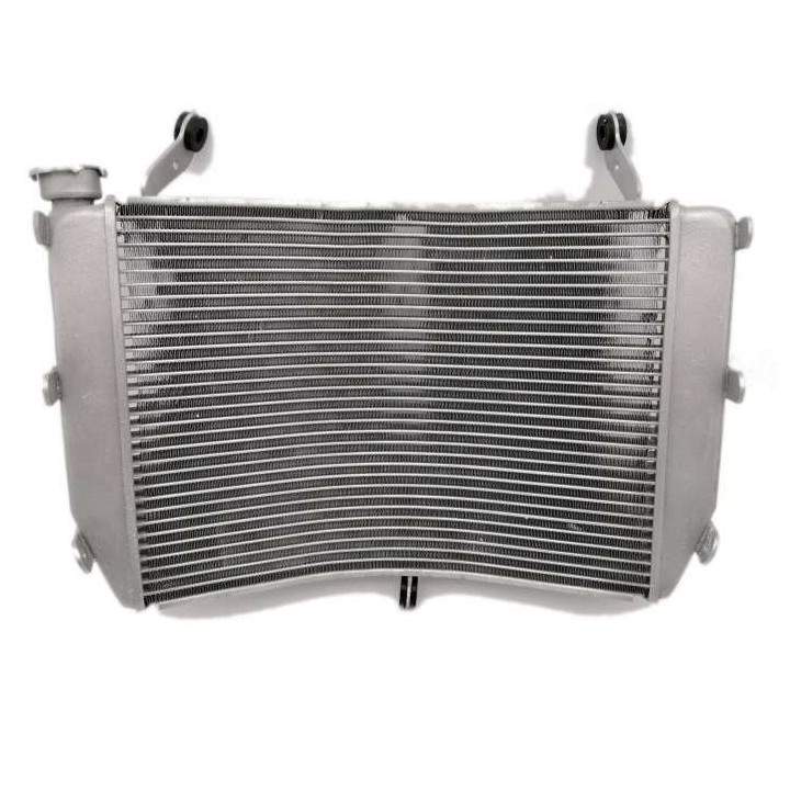 Brazoline water cooler Suzuki GSX-S1000 /F
