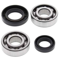 Kit bearings + spi de vilebrequin All Balls 24-1067 Suzuki LT50