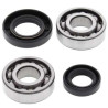 Kit roulements + spi de vilebrequin All Balls 24-1067 Suzuki LT50
