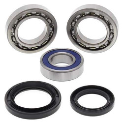 Kit roulements de roue Arrière All Balls 25-1018 YAMAHA YFM350FX WOLVERINE