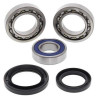 Wheel bearing kit Rear All Balls 25-1018 YAMAHA YFM350FX WOLVERINE